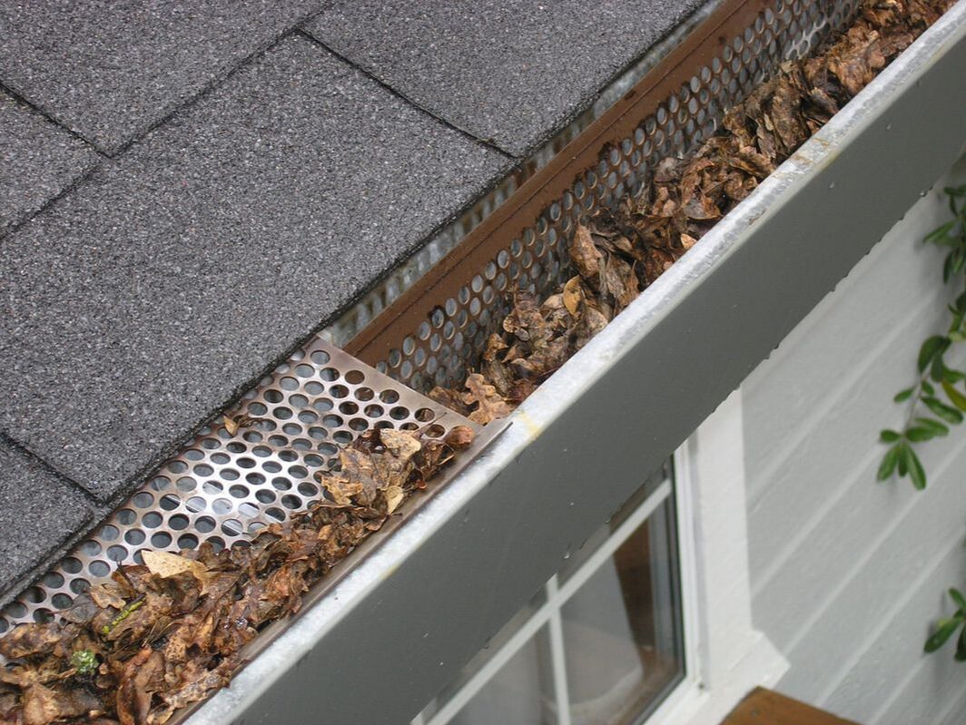 Gutters filled with leaves
